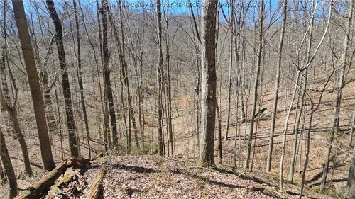 x County Route 5/3, Clendenin, WV, 25045 | Card Image