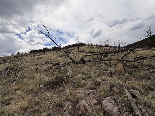 00 J Path, Cotopaxi, CO, 81223 | Card Image