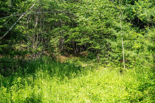 Lot 4.2 Tommy Lot Road, Moultonborough, NH, 03254 | Card Image
