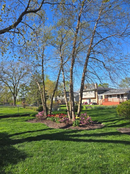 703 E Redwood Ln, Arlington Heights, IL, 60004-3206 | Card Image