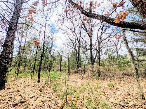 0 Fawn Dr, Grand Marsh, WI, 53936 | Card Image