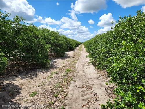 8923 E Twitty Rd, Sebring, FL, 33876 | Card Image