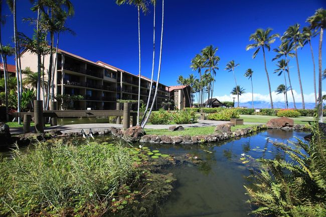 C107 - 3543 Lower Honoapiilani Rd, Condo with 0 bedrooms, 1 bathrooms and null parking in Lahaina HI | Image 28