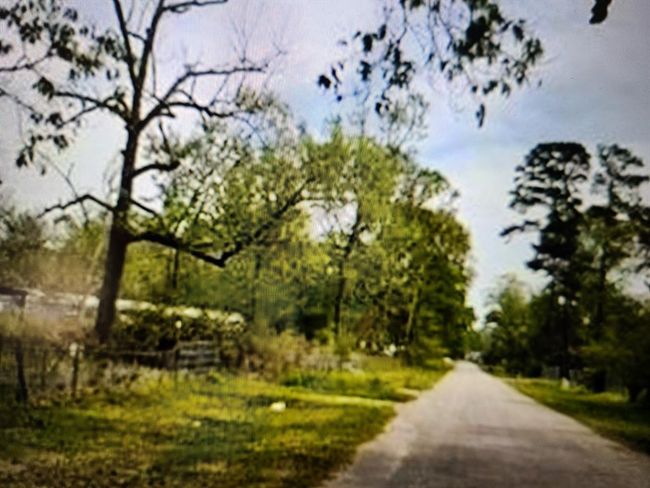 27436 Lantern Ln, House other with 3 bedrooms, 1 bathrooms and null parking in New Caney TX | Image 6