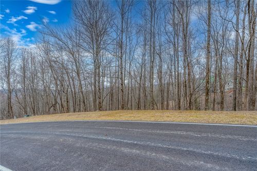153 Catnip Trl, Landrum, SC, 29356-3309 | Card Image
