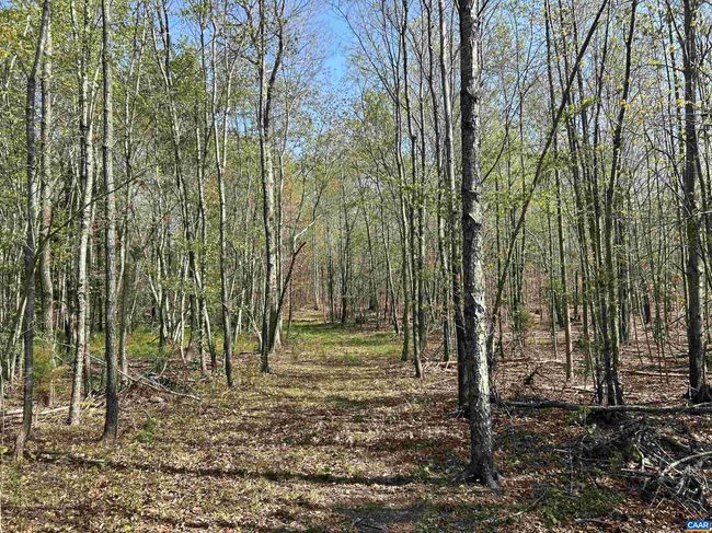 4064 Deep Creek Rd, House other with 2 bedrooms, 1 bathrooms and null parking in KENTS STORE VA | Image 25