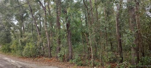 1221 E Rhapsody Ln, Hernando, FL, 34442-4938 | Card Image