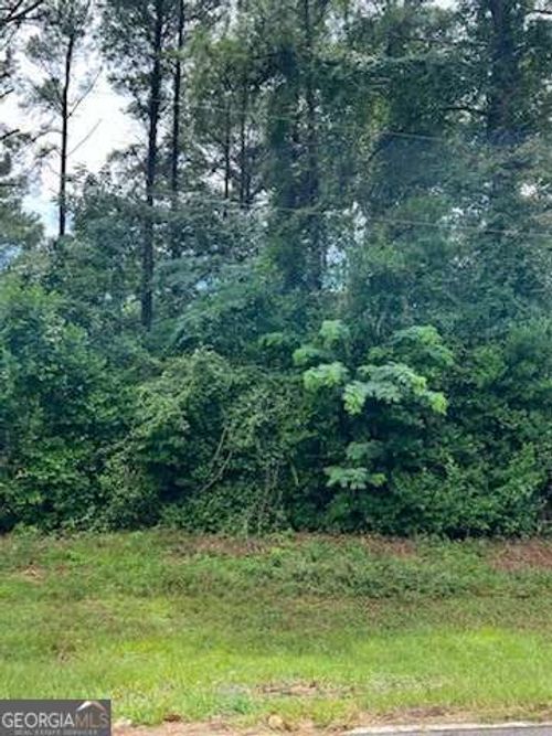 0 N Spring Creek Cir, Cobb, GA, 31735 | Card Image