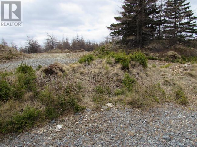 45 New Line Road, Home with 0 bedrooms, 0 bathrooms and null parking in Colliers NL | Image 40