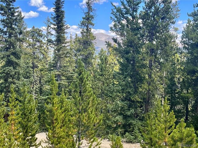 676 Dry Gulch Rd, Home with 0 bedrooms, 0 bathrooms and null parking in Fairplay CO | Image 30
