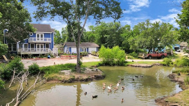 POND | Image 10