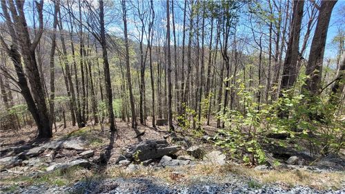 236 Wild Daisy Ln, Beech Mountain, NC, 28604-7804 | Card Image