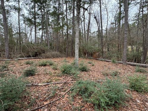 TBD County Rd, Goodrich, TX, 77335 | Card Image