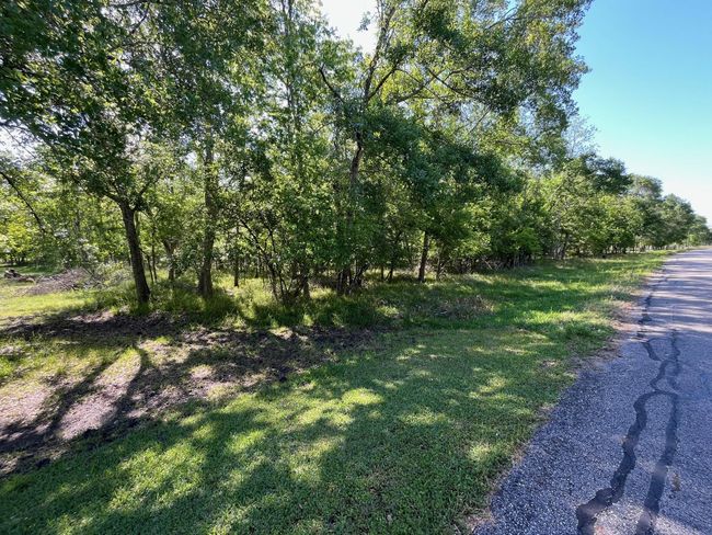 0 Squirrel Holw, Home with 0 bedrooms, 0 bathrooms and null parking in Damon TX | Image 4
