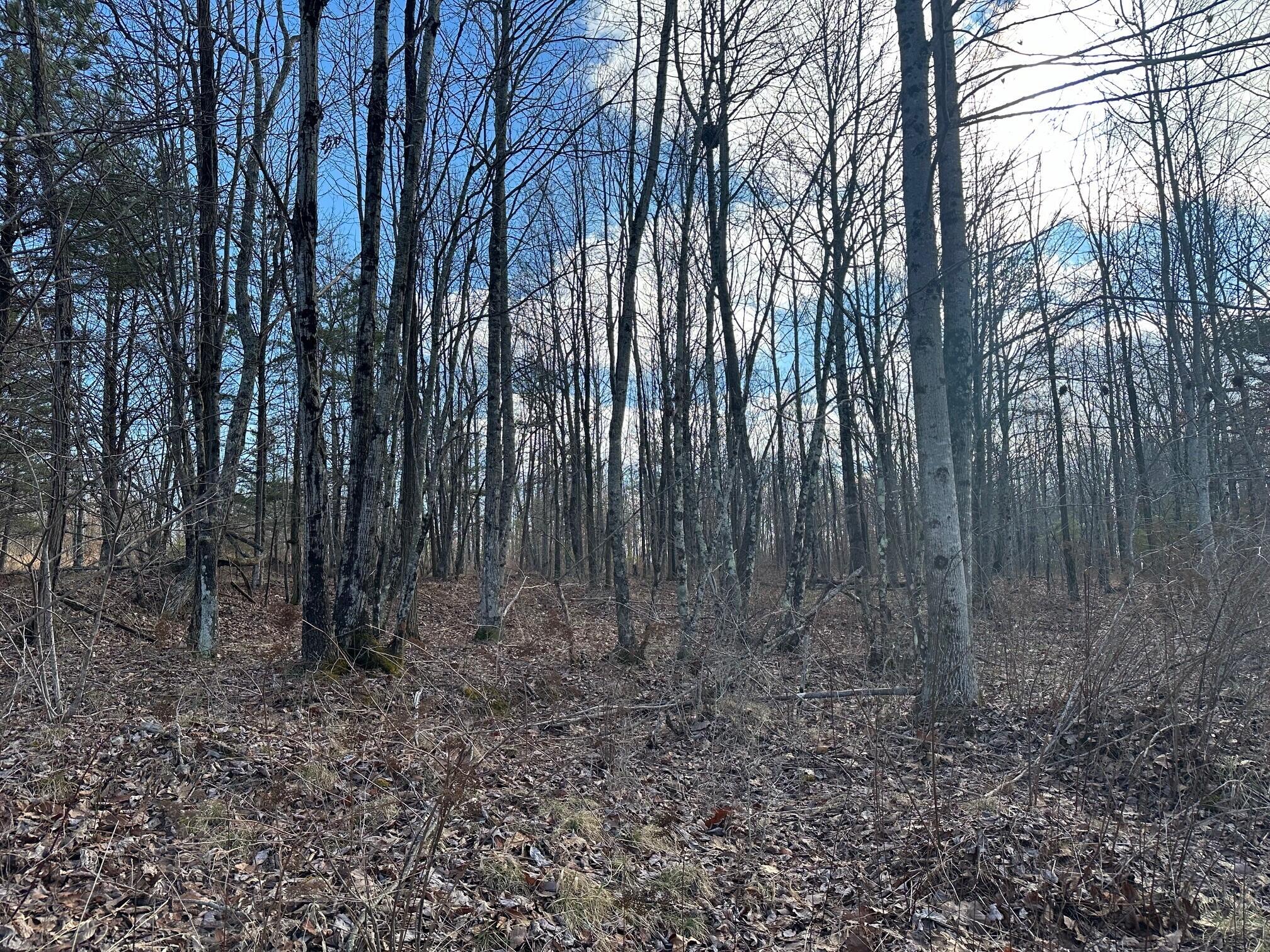 Palmer Firetower Rd, Palmer, TN 37365