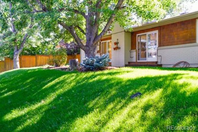 Back yard | Image 18