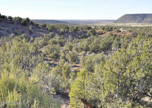 3687 Damron Valley Rd, Snowflake, AZ, 85937 | Card Image