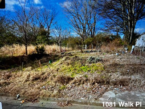 1081 Walk Pl, Memphis, TN, 38106-2325 | Card Image