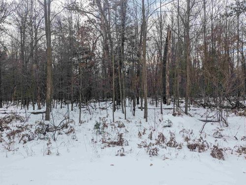 N/A Georgia Edna Ln, Prescott, MI, 48756 | Card Image