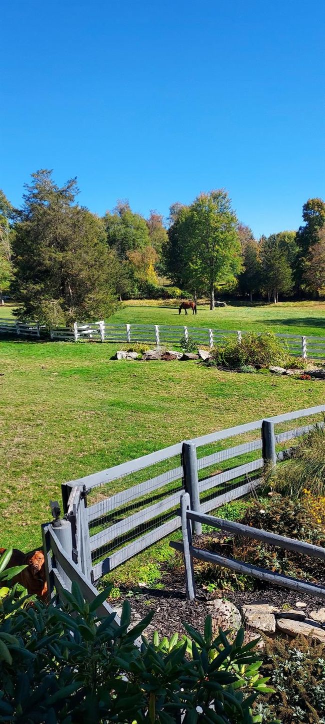 View of the turnout from the back deck | Image 4