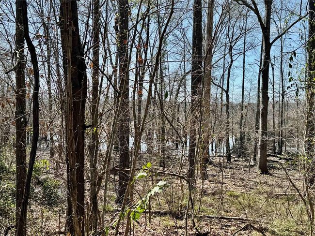 000 Old Farm Market 705 S, House other with 2 bedrooms, 2 bathrooms and 3 parking in Broaddus TX | Image 7