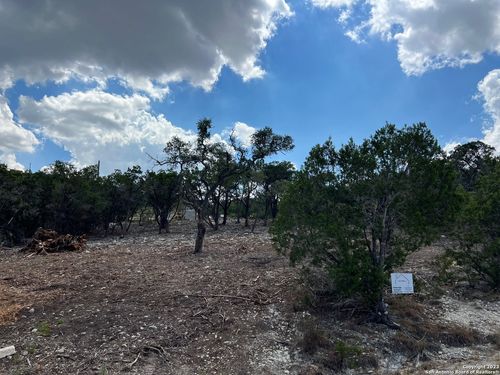 320 Lexington Pass, Canyon Lake, TX, 78133-6385 | Card Image