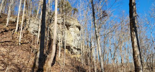 lot-20-phase-3-0 Birch Hollow Rd Road, Stanton, KY, 40380 | Card Image
