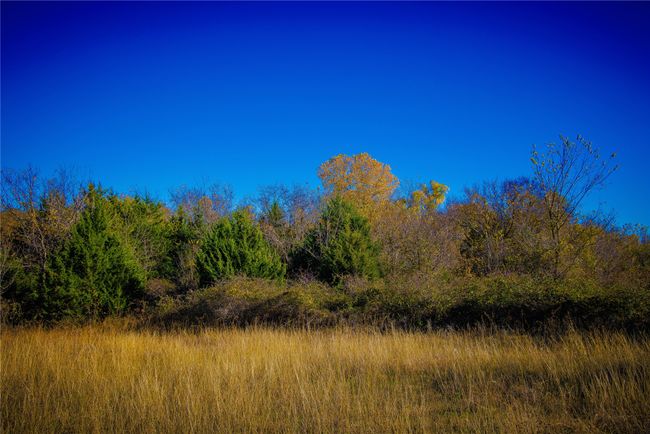 Tract 4 Lazy E Rd, Home with 0 bedrooms, 0 bathrooms and null parking in Saint Jo TX | Image 13