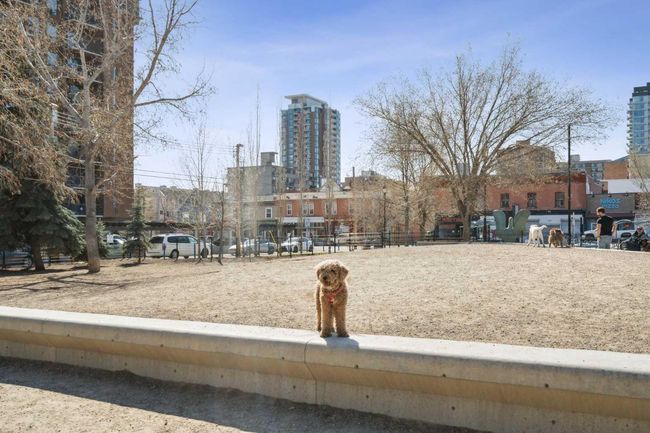 701 - 1208 14 Ave Sw, Condo with 3 bedrooms, 3 bathrooms and 2 parking in Calgary AB | Image 30