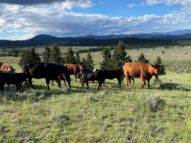 5845 Dry Creek Ranch Rd, House other with 3 bedrooms, 3 bathrooms and null parking in Whitehall MT | Image 9