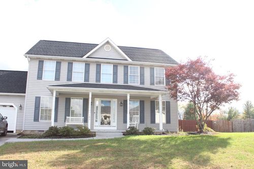 107 Fancy Ct, STEPHENS CITY, VA, 22655-3729 | Card Image