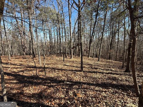 0 Grindle Bridge Rd, Dahlonega, GA, 30533 | Card Image