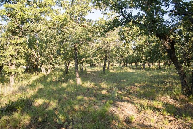 1020 Post Oak Rd, Home with 0 bedrooms, 0 bathrooms and null parking in Gordon TX | Image 6