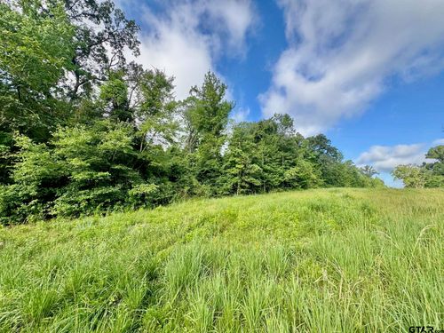 TBD County Road 369, Winona, TX, 75792 | Card Image