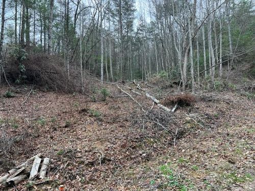 3 Coy Rhea Way, Sevierville, TN, 37876-6806 | Card Image