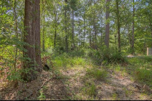 191 Cayman St, Pointblank, TX, 77364-4442 | Card Image