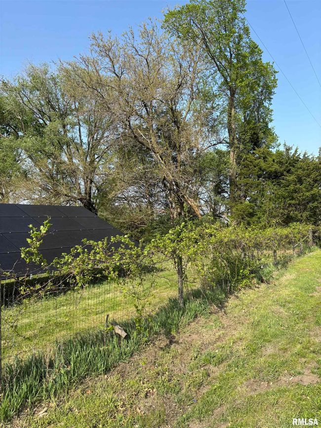 286 Kochs Ln, House other with 2 bedrooms, 2 bathrooms and null parking in Meredosia IL | Image 29