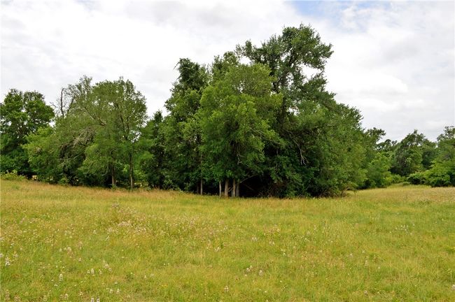 View of undeveloped land | Image 14
