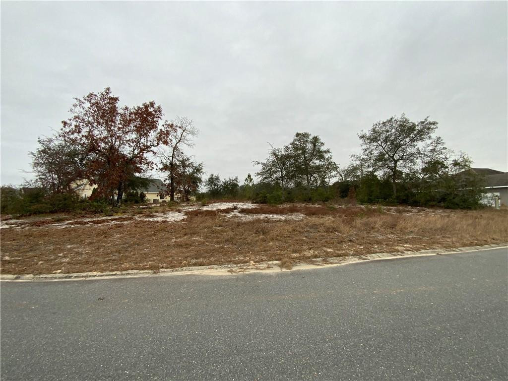 Land in Blackshear 3
