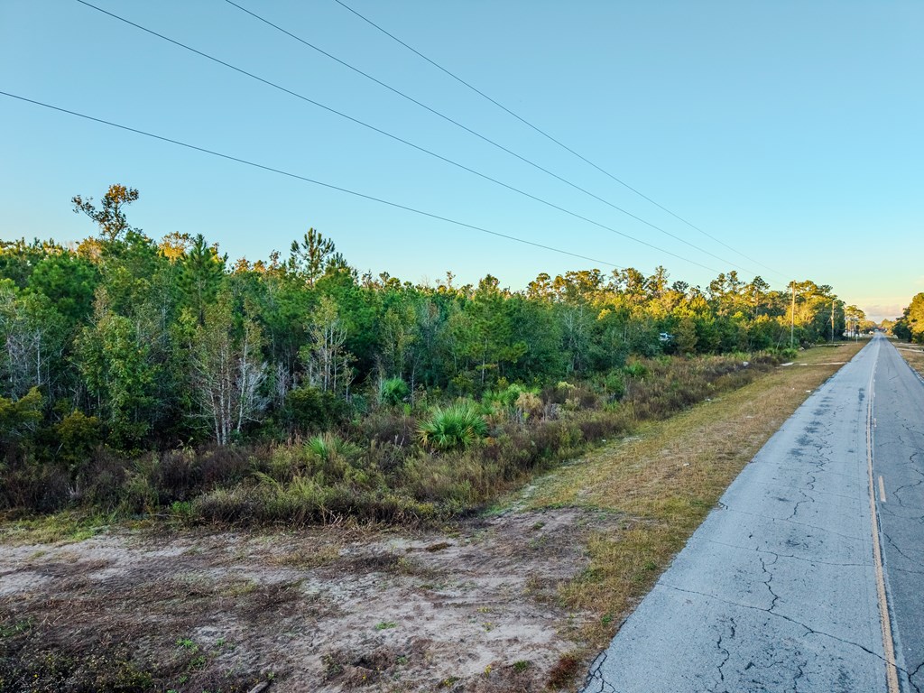 Land in Steinhatchee 5