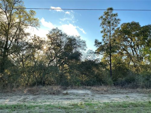 0 Sw Azaleta Court, OCALA, FL, 34471 | Card Image