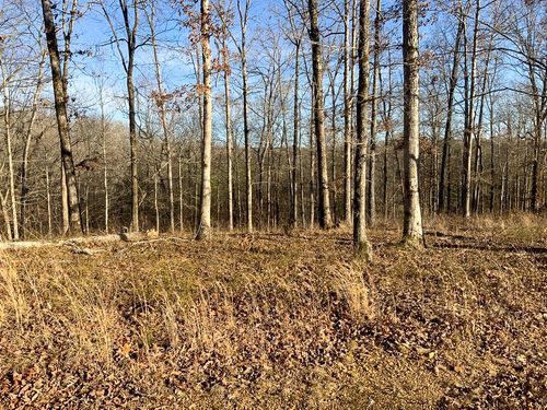 0 Havenwood Rd, MC EWEN, TN, 37101 | Card Image