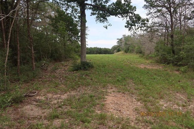 1584 Dungens Mill Rd, Home with 0 bedrooms, 0 bathrooms and null parking in Columbus TX | Image 11