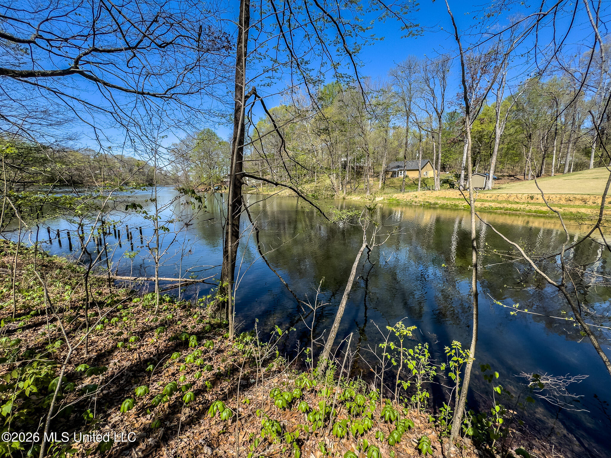 Land in Hernando 2