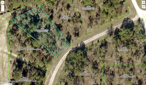 16147 Sheldrake Loop, Weeki Wachee, FL, 34614 | Card Image