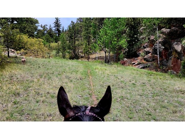 324 Pikeview Ln, House other with 3 bedrooms, 2 bathrooms and null parking in Florissant CO | Image 47