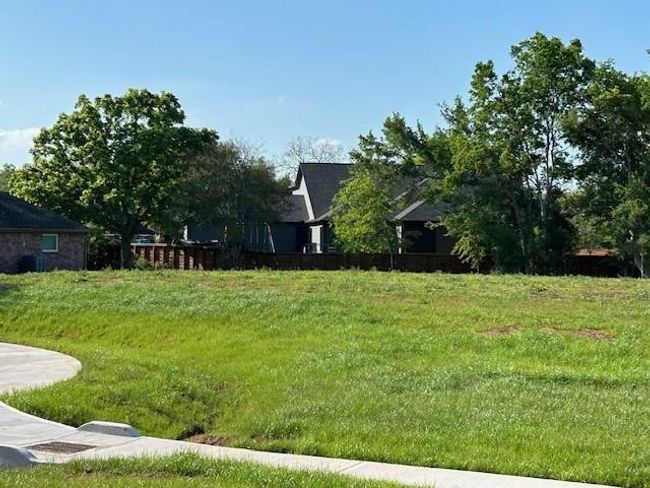 33206 Worthing Ln, Home with 0 bedrooms, 0 bathrooms and null parking in Fulshear TX | Image 5