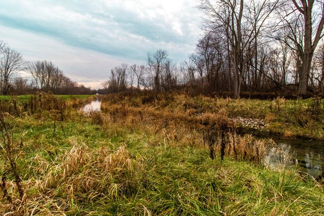 Bottom Creek | Image 10