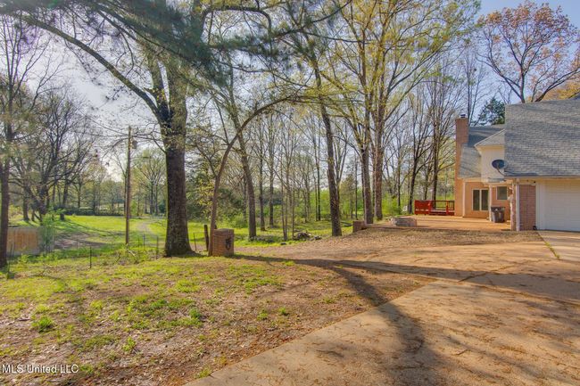 Backyard | Image 28