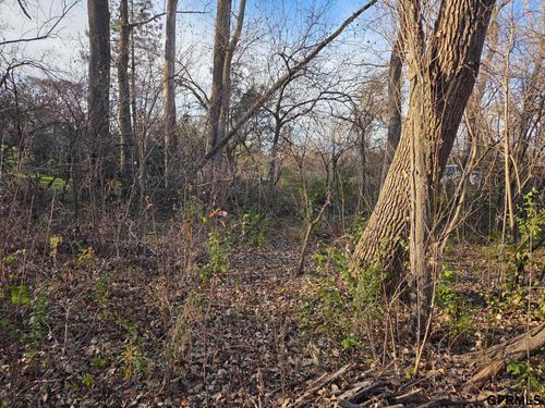 tbd Mad Hatter Lane, Blair, NE, 68008 | Card Image